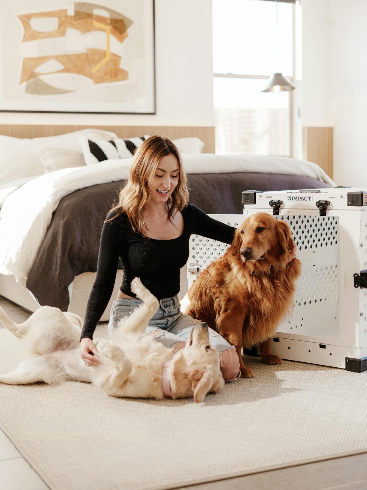 Top 5 Must-Have Features in a Heavy-Duty Dog Fence for Large and Energetic Dogs - Petorldog