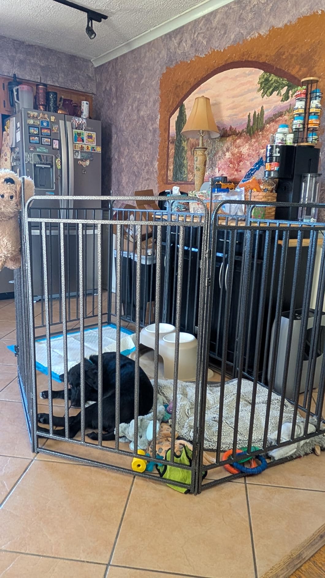 Curved Protection Dog Pen