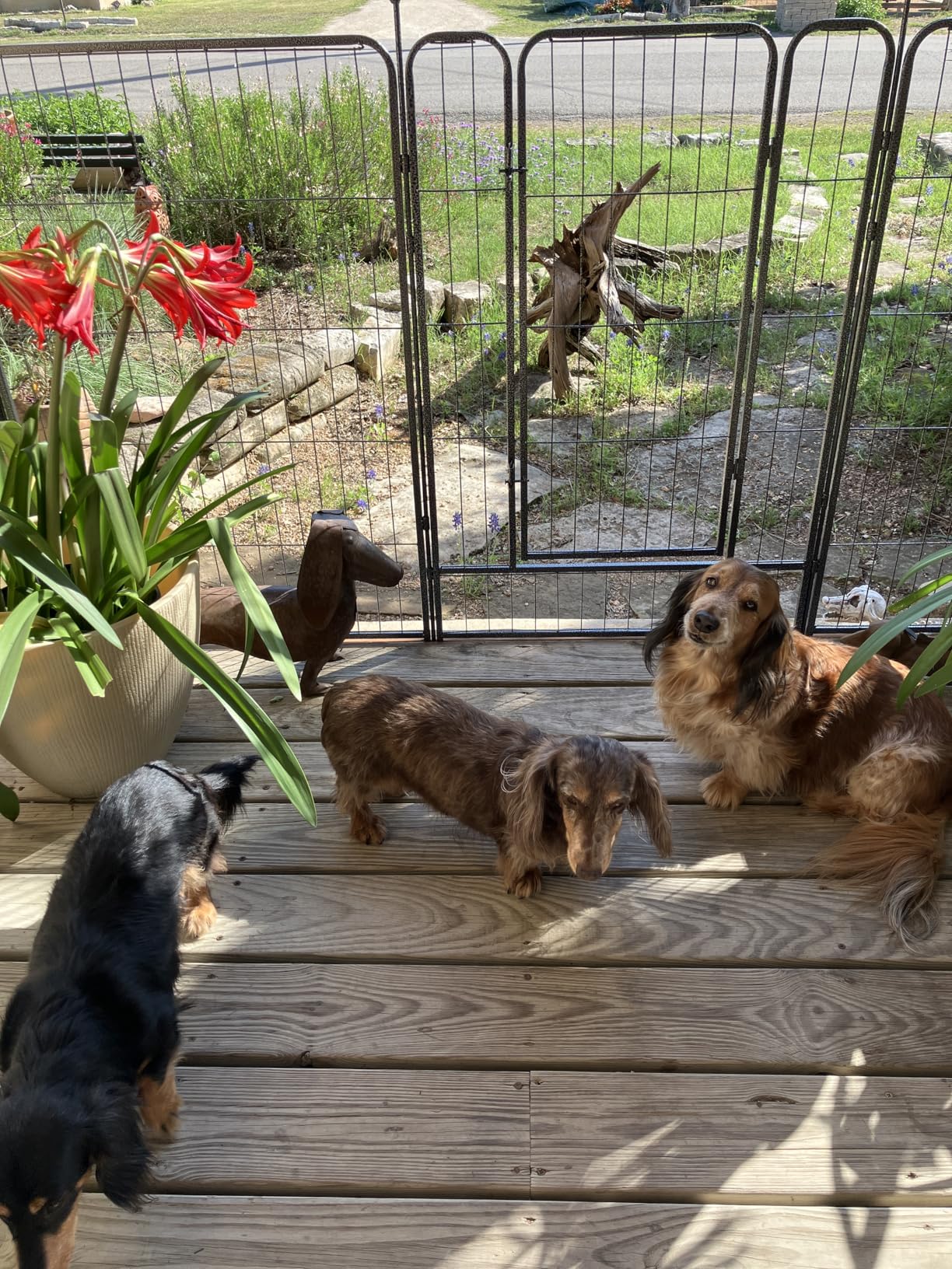 No-Dig Decorative Fence