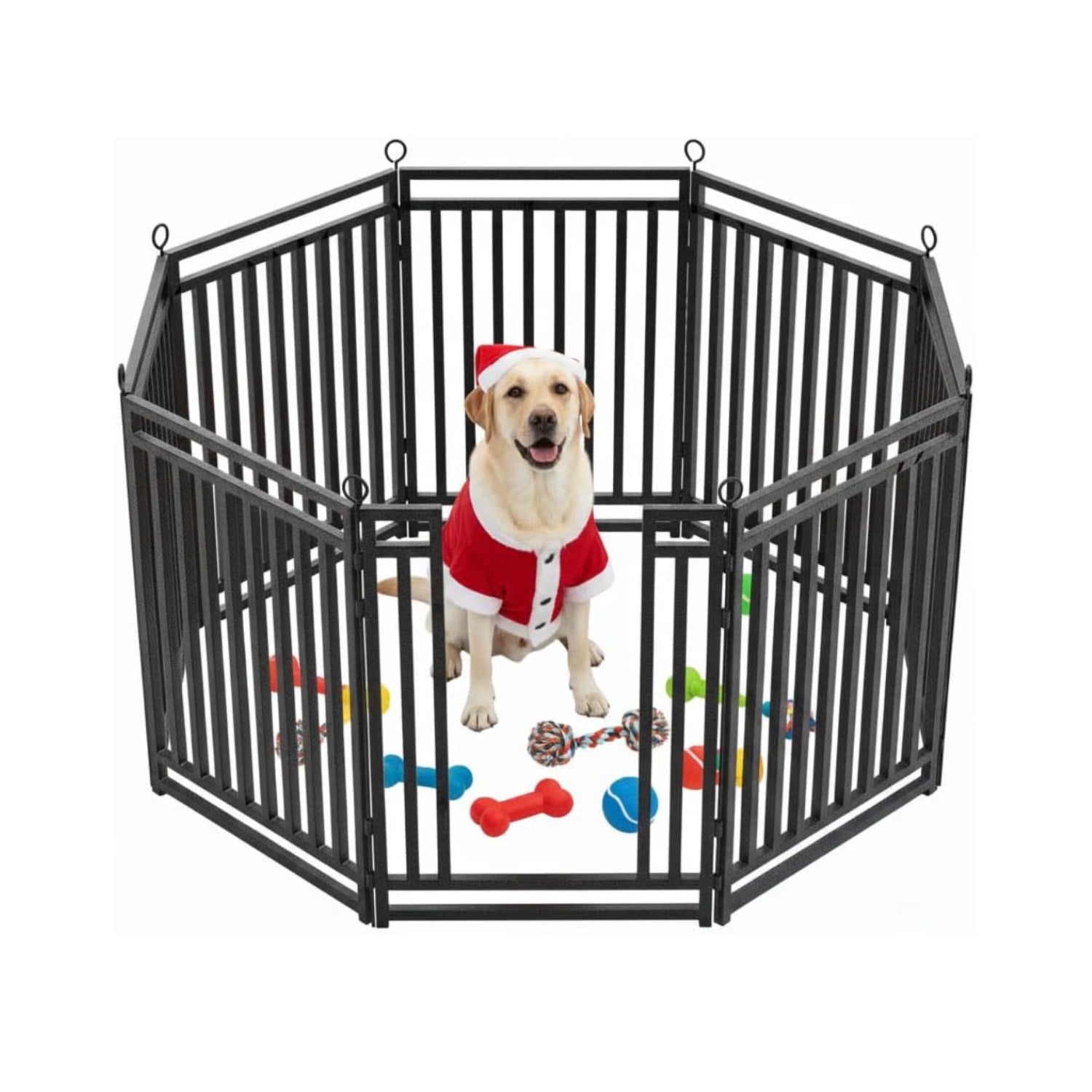 Easy-to-Install Pet Fence