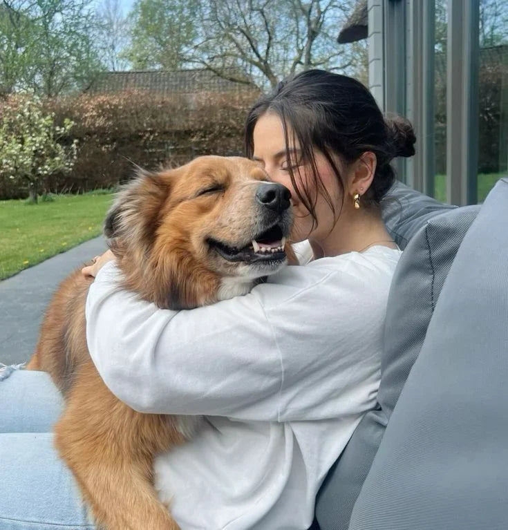 How to Choose the Right Dog Fence for Every Stage of Your Dog’s Life
