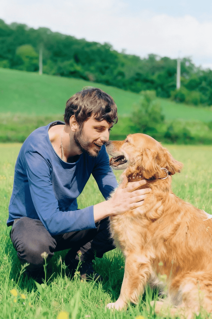 The Backyard Gathering Upgrade Every Dog Owner Needs: The Petorldog Foldable Dog Playpen - Petorldog