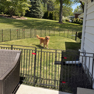 Extra-Strong Dog Playpen