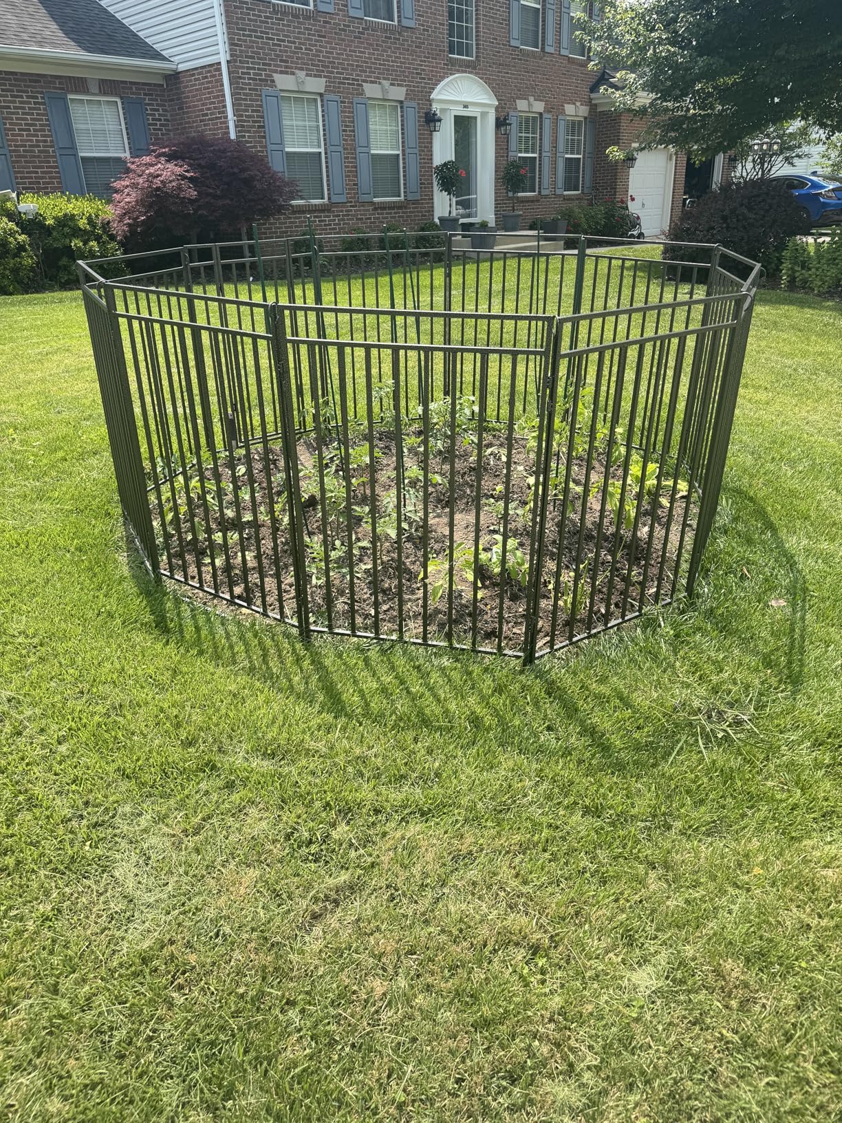Secure Garden Fence