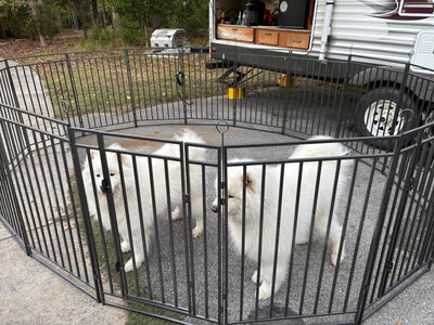 Instant Outdoor Dog Playpen