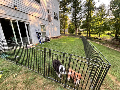 Pet- Friendly Fence for Yard