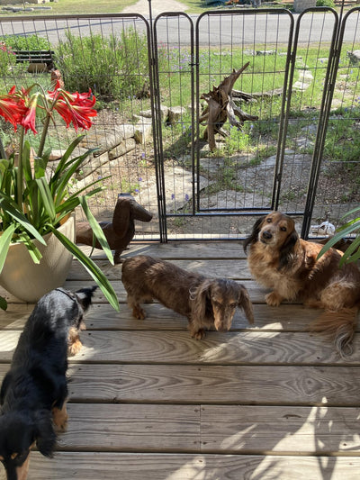 No-Dig Decorative Fence