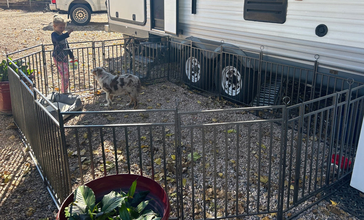 Enhanced Pet-Safe Design