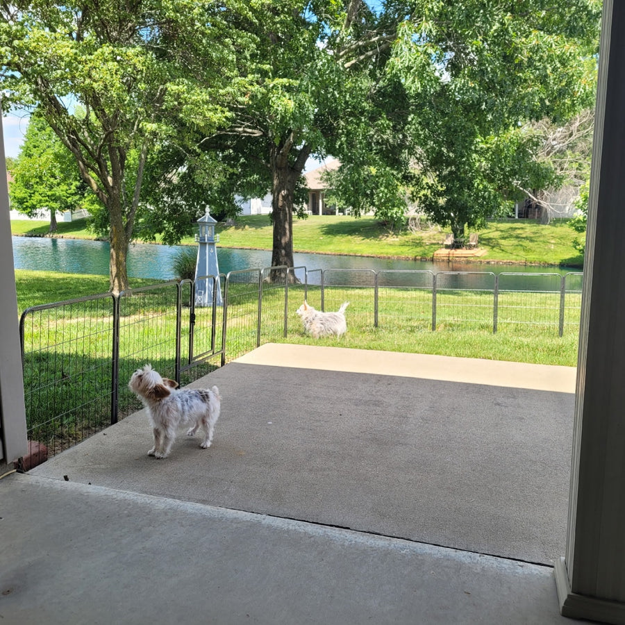 Yard Protection