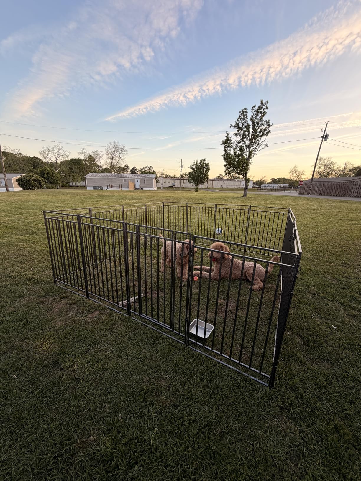 Instant Outdoor Dog Playpen