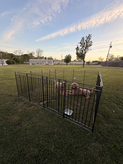 Instant Outdoor Dog Playpen