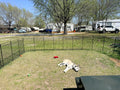 Extra-Strong Dog Playpen (Copy)