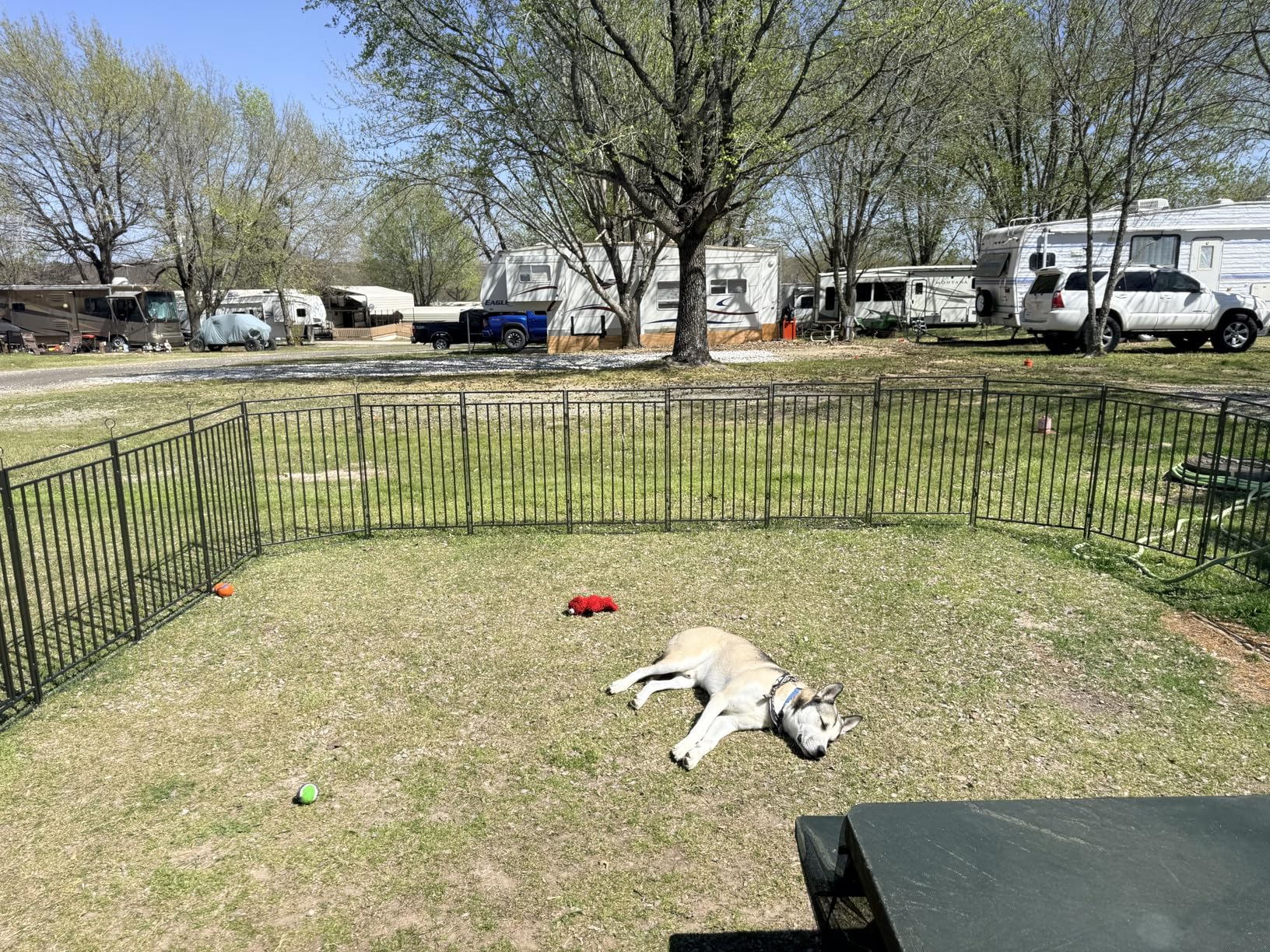 Instant Outdoor Dog Playpen