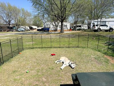 Instant Outdoor Dog Playpen
